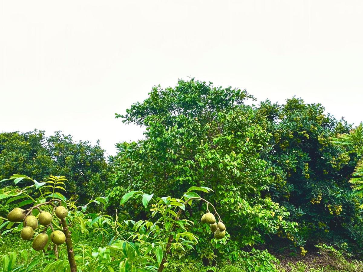 Ben Ho Homestay Xa Gia Tan Exteriér fotografie